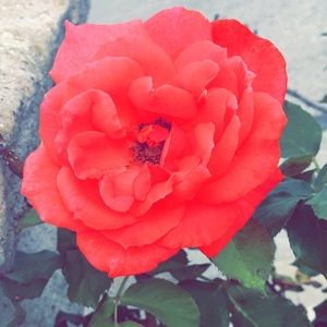 Meet your Posher, Marina